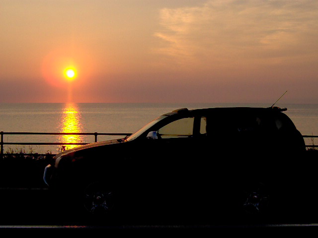 VX in MV
