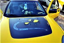 VX_hood_w_bee