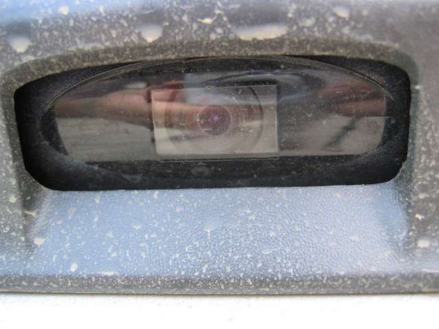 Rear Cam Works