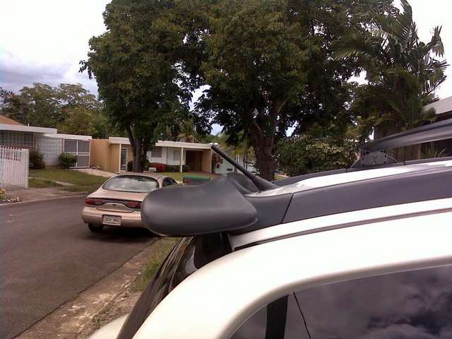 antenna from Pep Boys $13.00, how it looks, priceless.