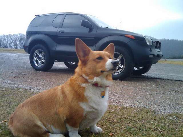 My Buddy and my VX