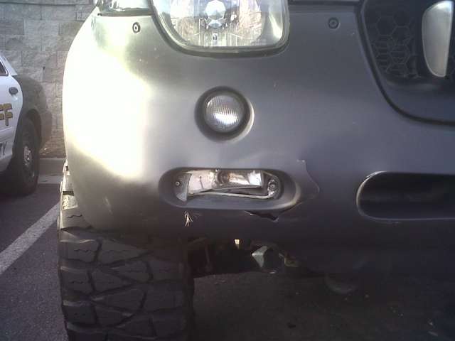 Deer hit