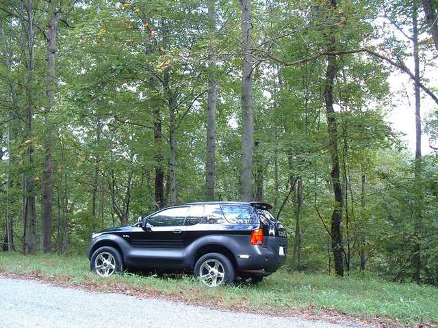 VX in the woods