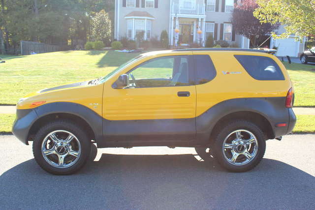My Killer Bee