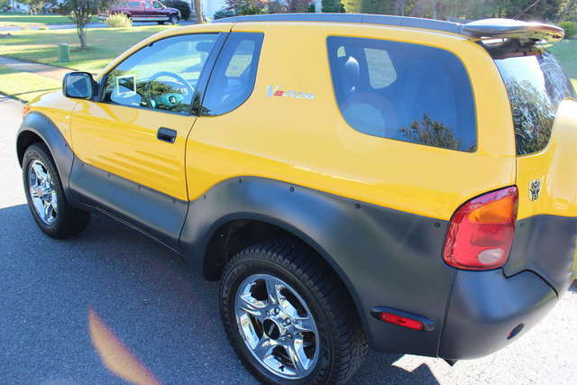 My Killer Bee!