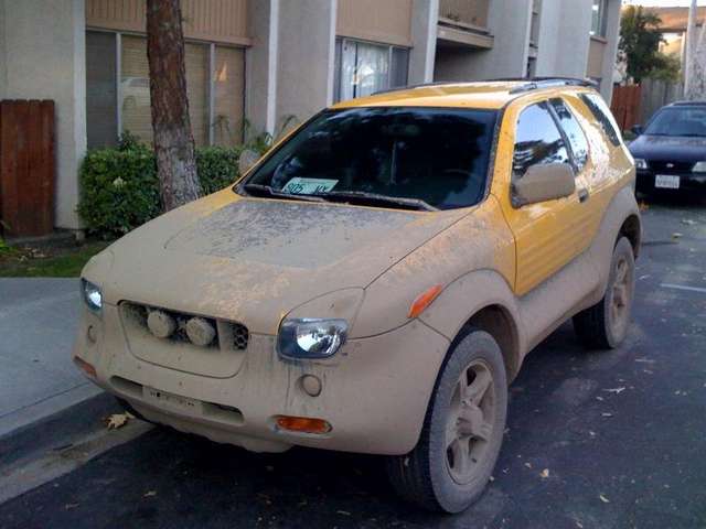 my BEE