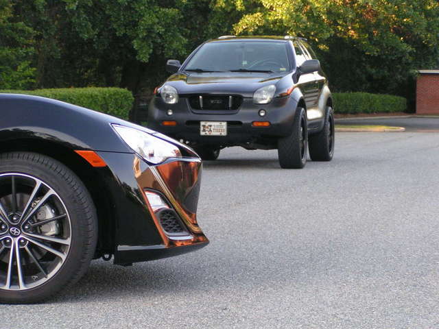 Black Beauty times two