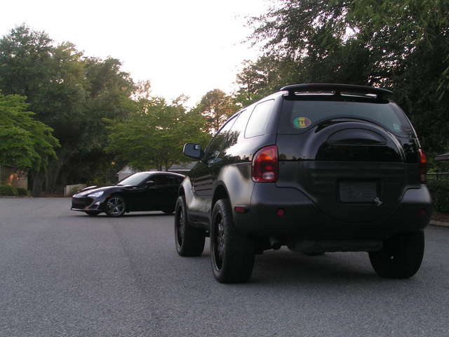 Black Beauty times two