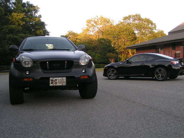 Black Beauty times two