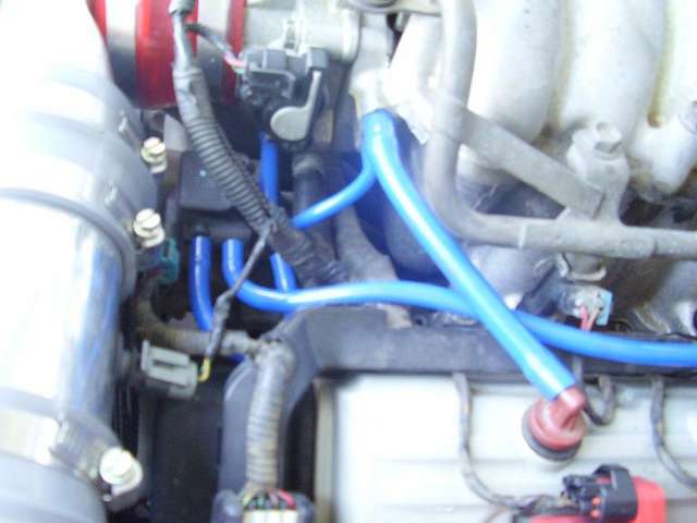 MORE SILICONE HOSES