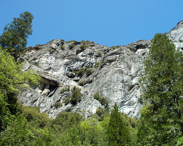 im0031441