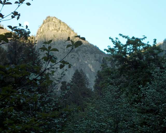 im003205