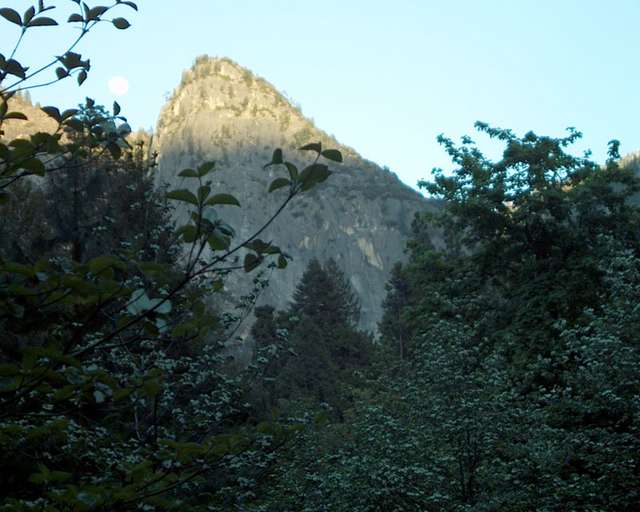 im003206