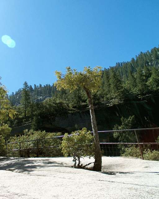 im003271