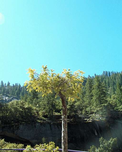 im003273