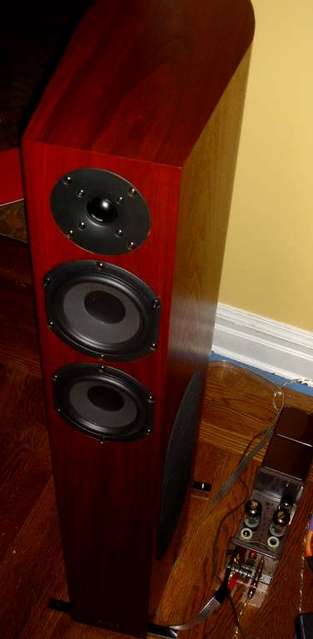 Audio Physic Scorpio