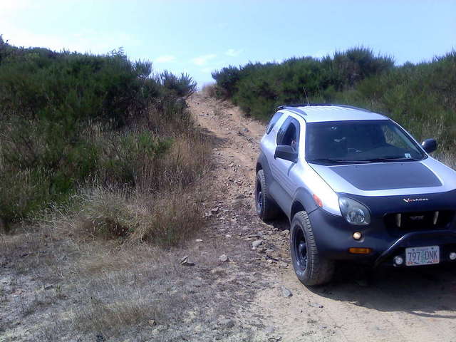 on the coast by the dunes..