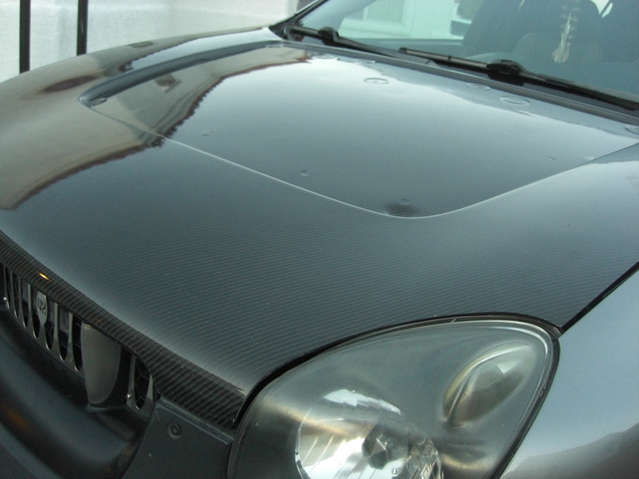 Real Carbon Fiber Hood