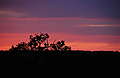 DSC_0420.JPG