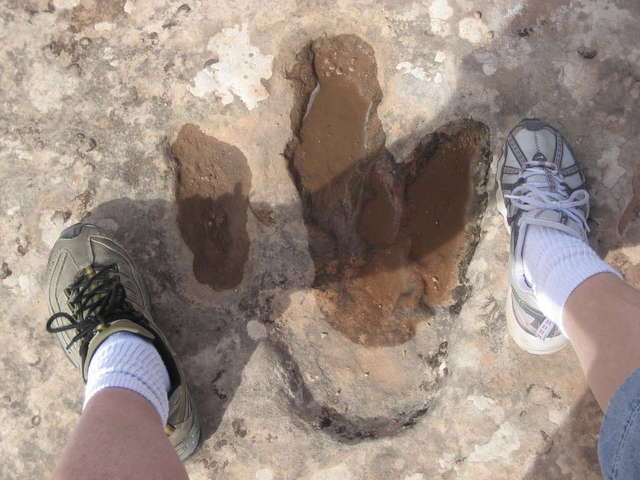 VX Run Dome Plateau
