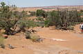 IMG_1623.JPG