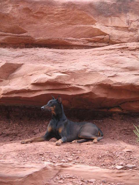 Moab_2009_276