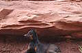 Moab_2009_276.jpg