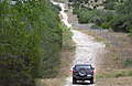 7-22-09_22_.jpg