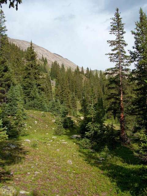 Old Alpine Tunnel Camping