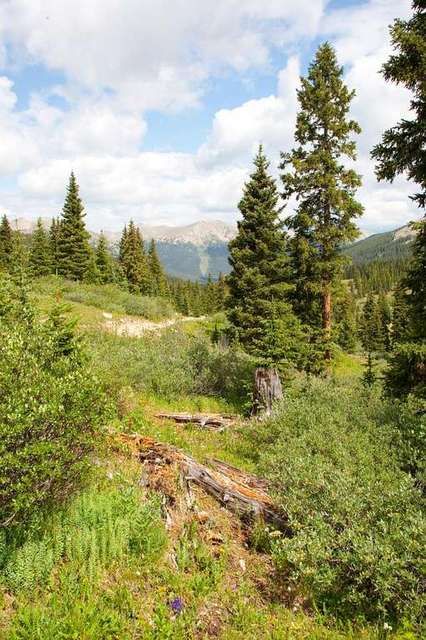 Old Alpine Tunnel Camping