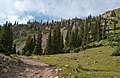Alpine_Tunnel_Camping009.jpg