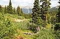Alpine_Tunnel_Camping058.jpg