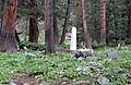 Alpine_Tunnel_Camping075.jpg