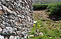 Alpine_Tunnel_Camping083.jpg