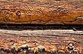 Alpine_Tunnel_Camping143.jpg