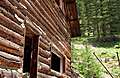 Alpine_Tunnel_Camping146.jpg