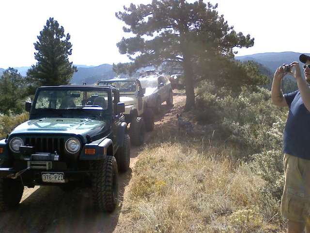 group lined up