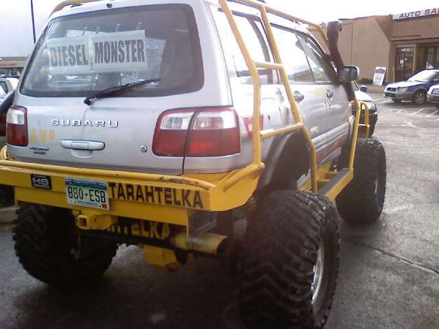 tarantelka4