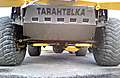 tarantelka2.jpg