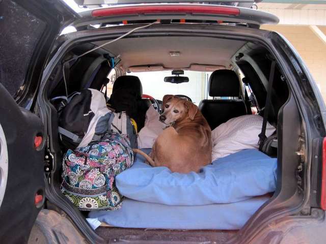 all_ready_to_travel