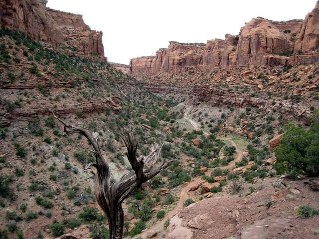 bull_canyon