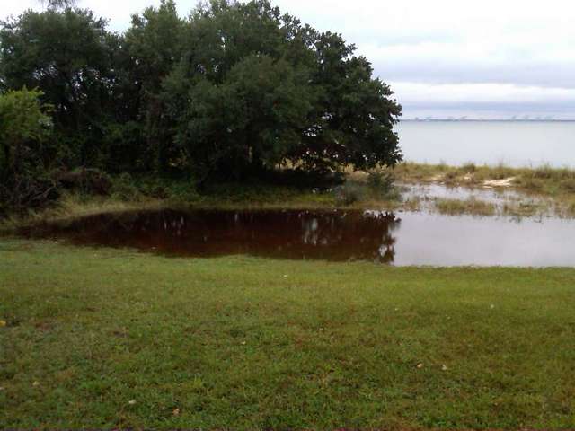Lower Yard Flooded