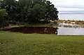 IMG00121-20101001-0834.jpg