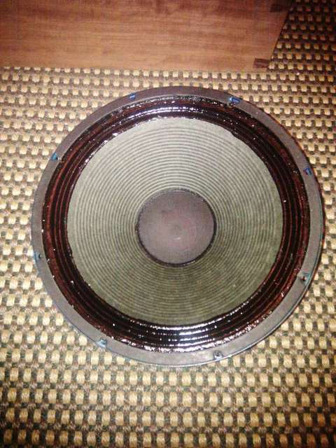 Alnico Hemp Speakers
