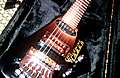IMG_20110616_220314.jpg