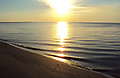 DSC01077.JPG