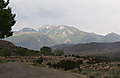 IMG_0628_1_.JPG