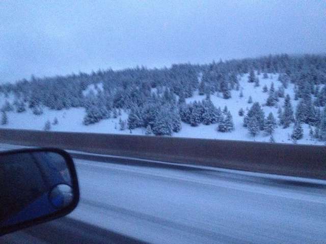 Snow on Vail Pass