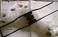 WP_20140106_001.jpg