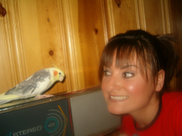 My other pride and joy....The Boybird!!!